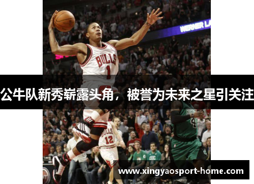 公牛队新秀崭露头角，被誉为未来之星引关注